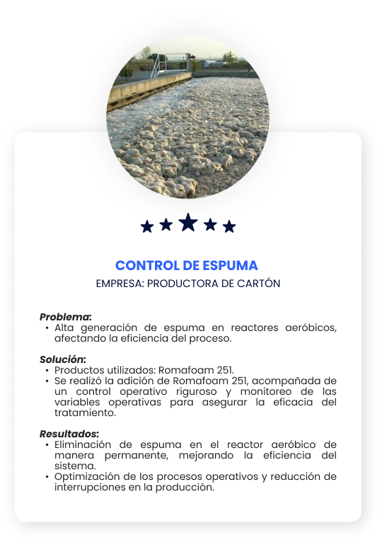 Caso de Exito efluentes (3)