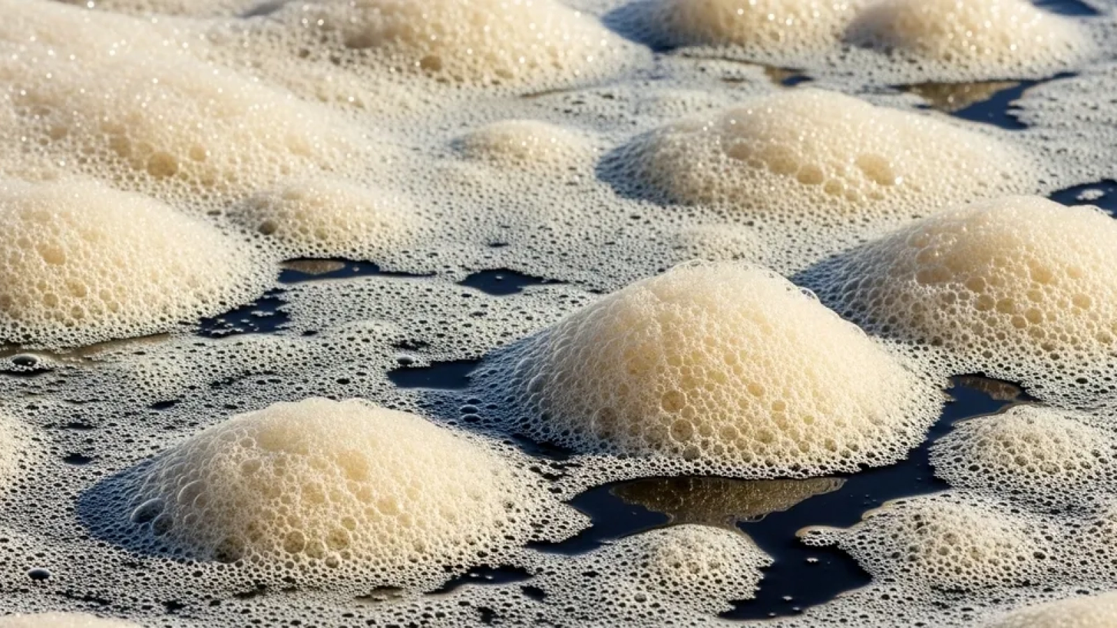 Caso de éxito Control de Espuma en Calderas Industriales con Romafoam 235 02