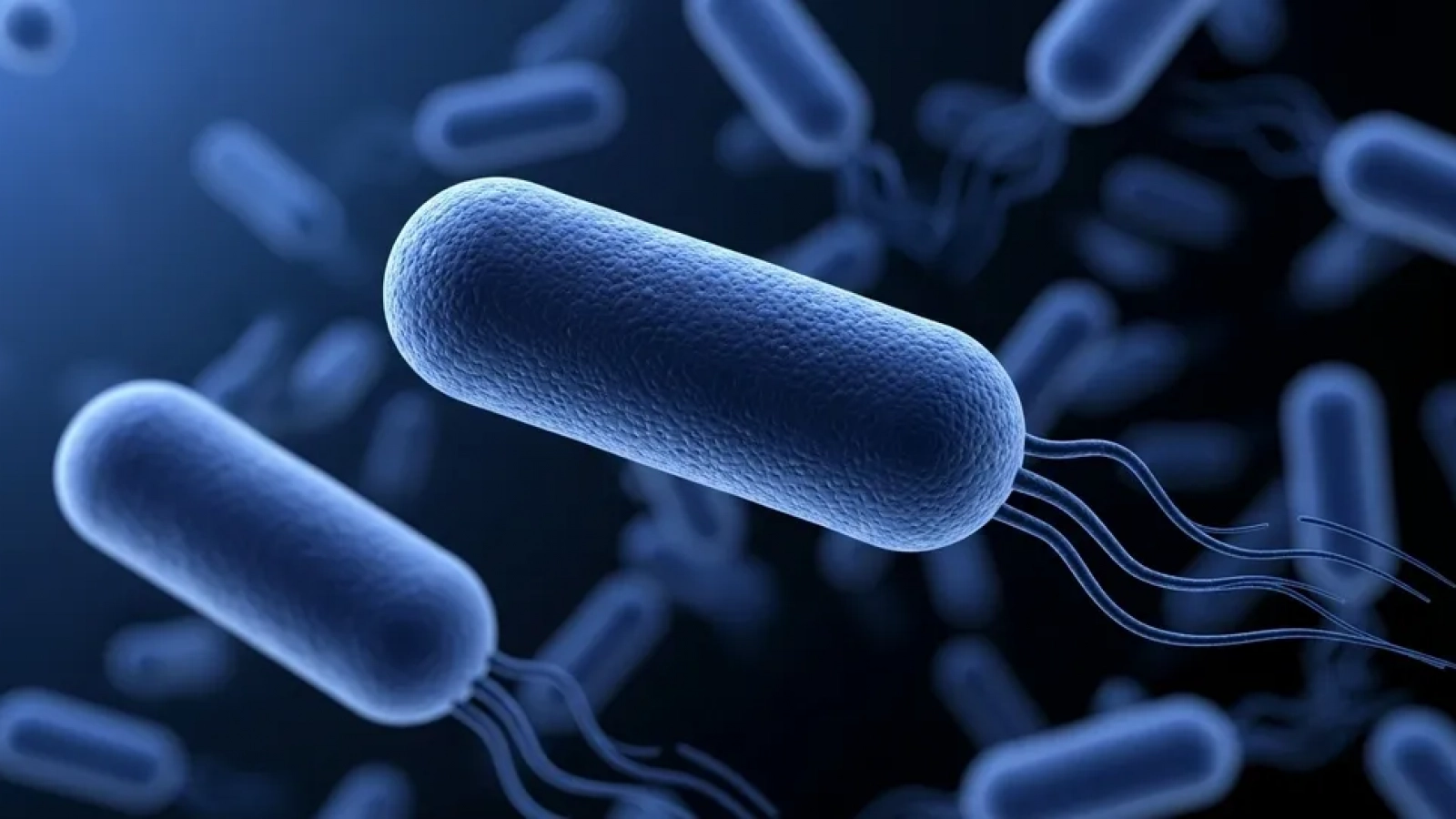 Tratamiento contra Legionella en Sistemas Industriales 01